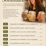 Cultiver ses premiers champignons — Le guide pour démarrer sereinement